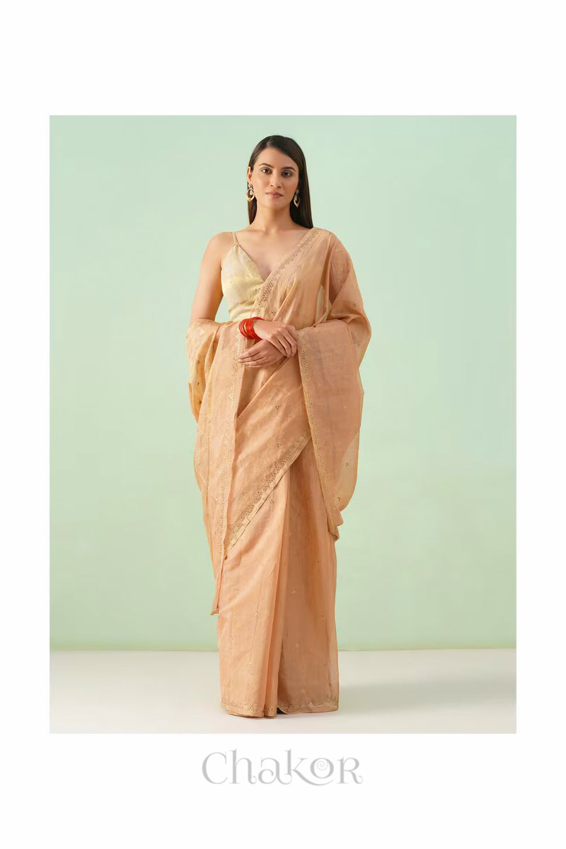 Model wearing Coral Chanderi tissue silk cotton saree in a full-length promotional shot.
