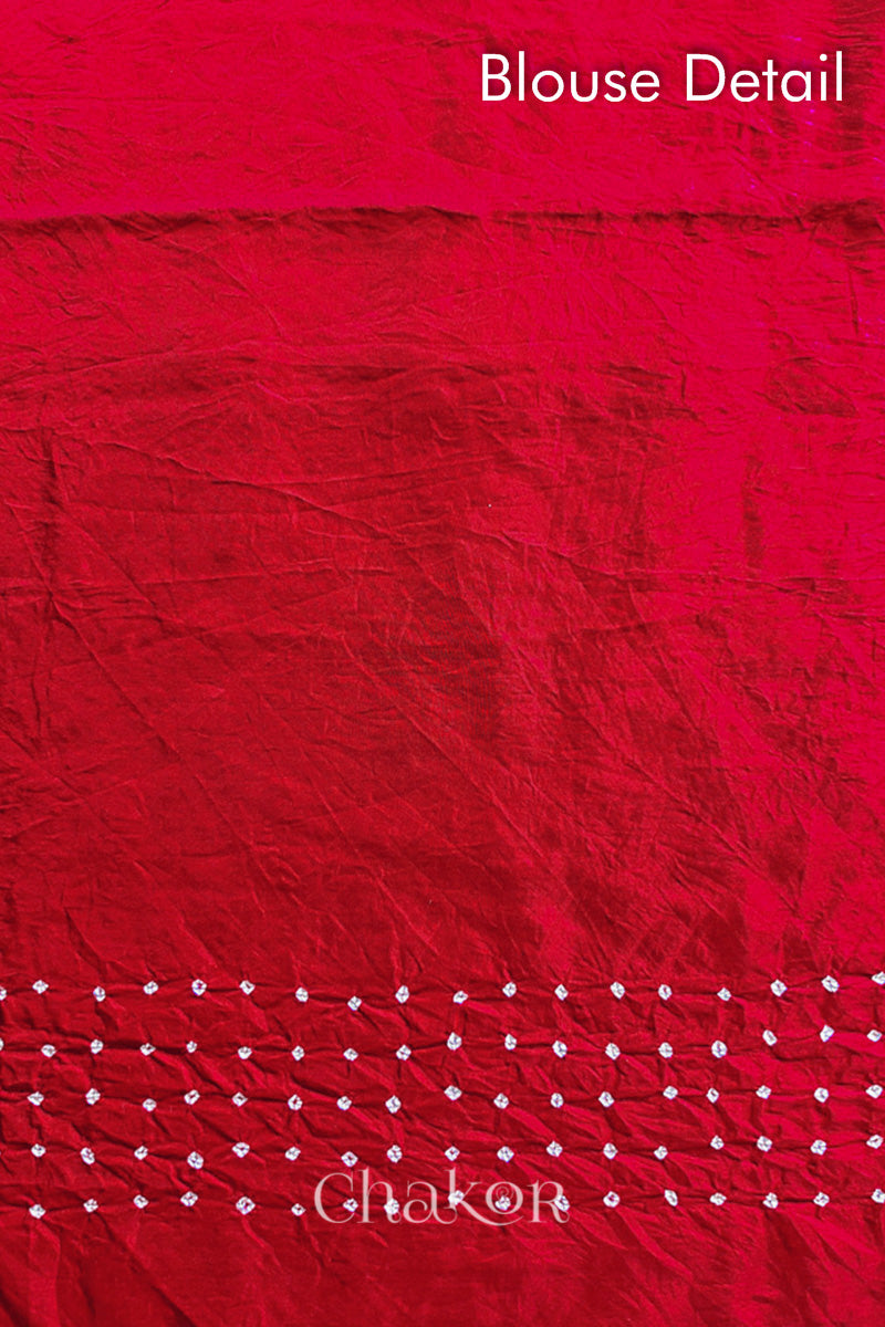 Blouse detail of Red Bandhani Mulberry Silk Saree, rai bandhej with sequins embroidery.