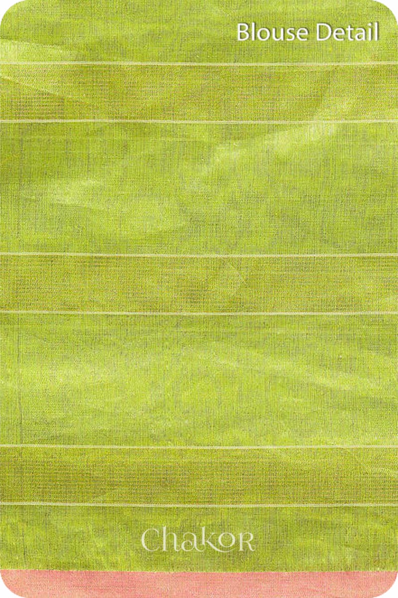 Chakor's Lime Green Handloom Silk Cotton Saree with woven fine zari stripes and embroidery.