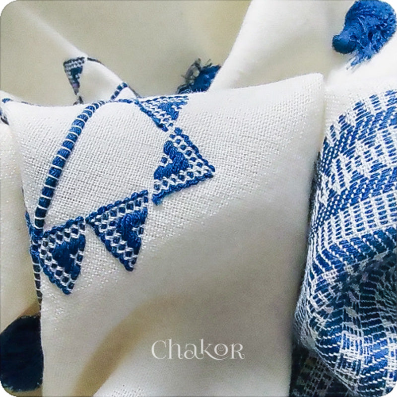 Handloom Off-white Blue Bhujodi Cotton Saree by Chakor.