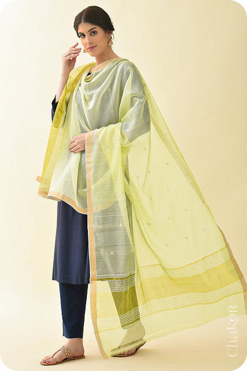 Pale Lime Yellow Chanderi Silk Cotton Dupatta