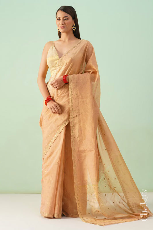 Model wearing a Coral Chanderi tissue silk cotton saree with hand-embroidered sequin and zari details.

