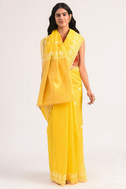 Full-length view of yellow Chanderi silk cotton saree draped to show handloom texture and embroidery.
