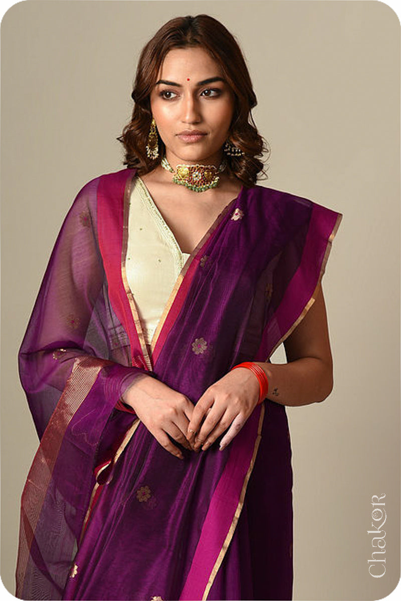 Chakor's Traditional Magenta Chanderi silk cotton saree with zari butti and ganga-jamuna borders.