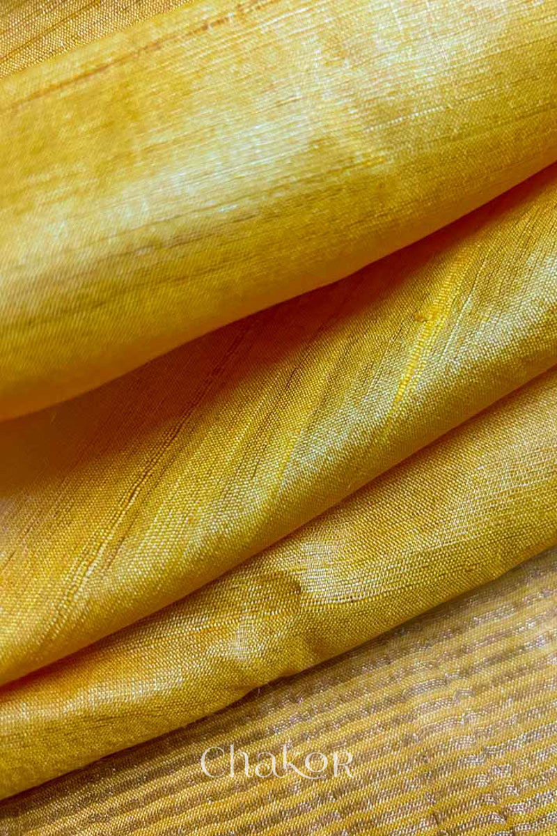 Close up of Yellow tussar silk handloom saree with golden zari border & hand embroidered with  sequins & zari work