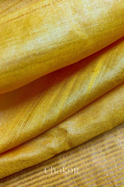Close up of Yellow tussar silk handloom saree with golden zari border & hand embroidered with  sequins & zari work