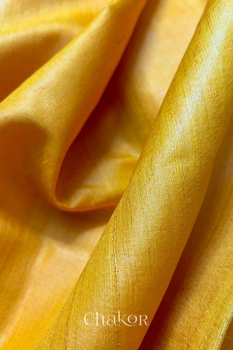 Close up of Yellow tussar silk handloom saree with golden zari border & hand embroidered with  sequins & zari work