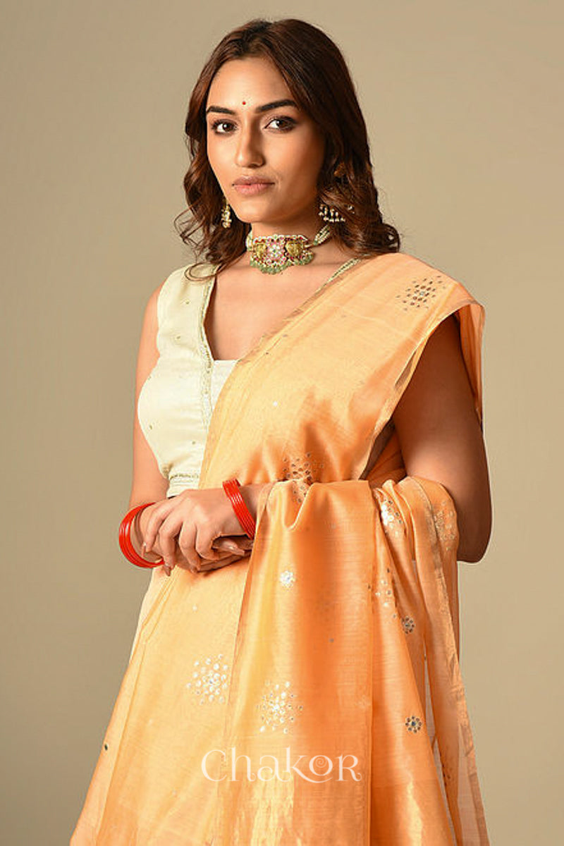 Model wearing Peach Chanderi Silk Cotton Handloom Saree with sequins and mirror embroidery.