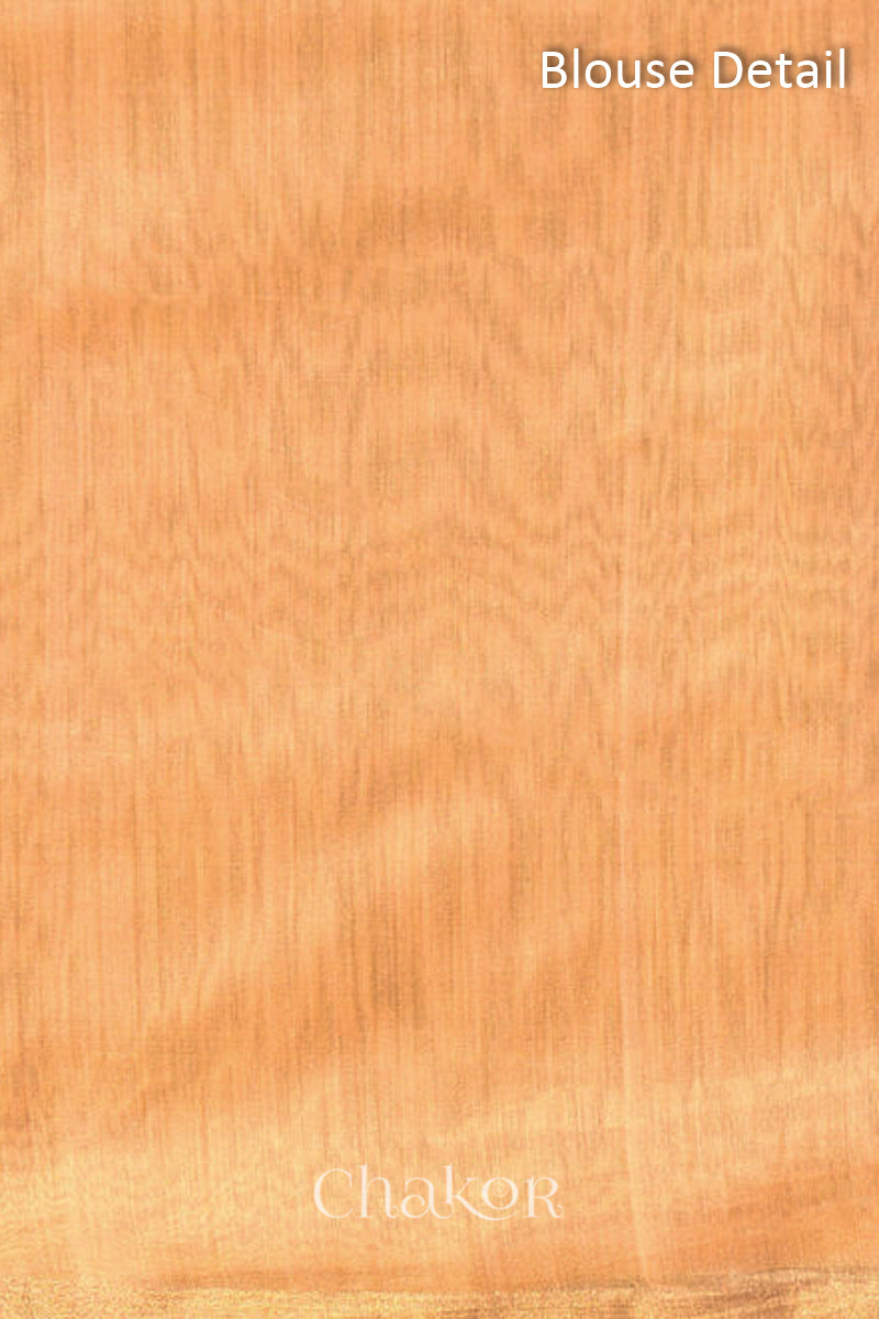 Blouse detail of Peach Chanderi Silk Cotton Handloom Saree with sequins and mirror embroidery.