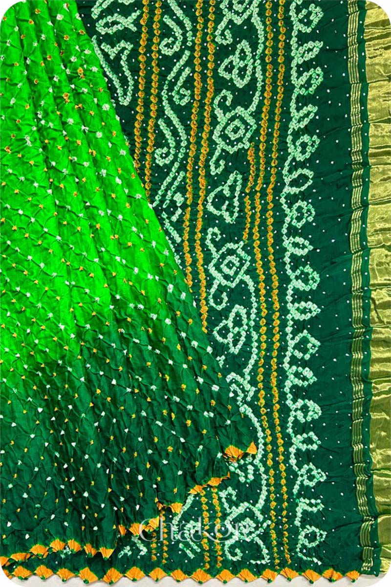 Parrot Green Ombre Bandhani Gaji Silk Saree