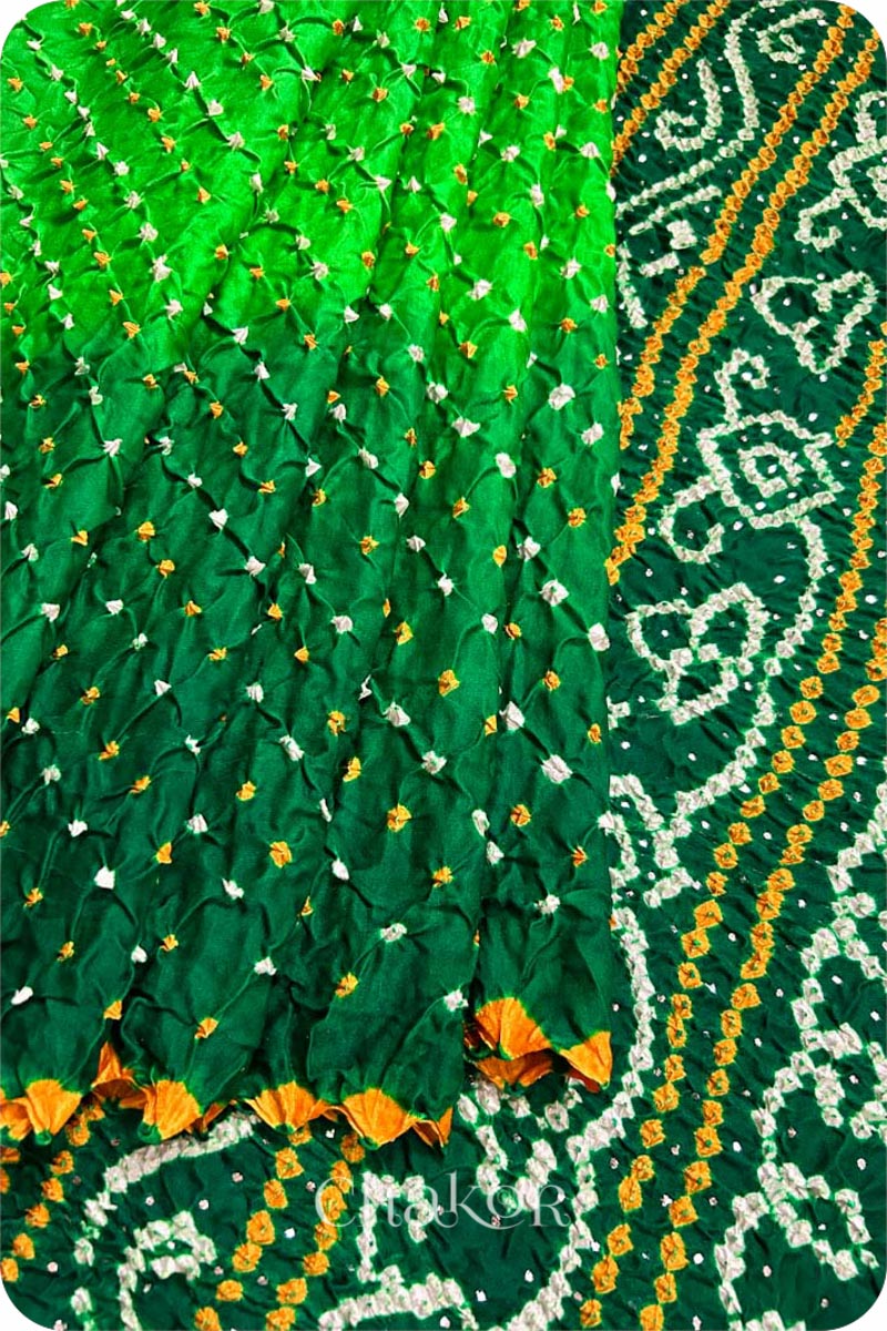 Parrot Green Ombre Bandhani Gaji Silk Saree