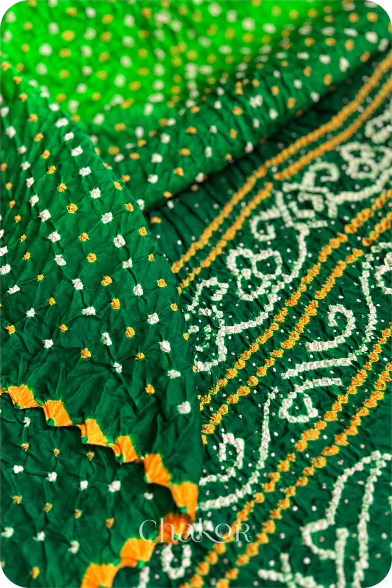 Parrot Green Ombre Bandhani Gaji Silk Saree