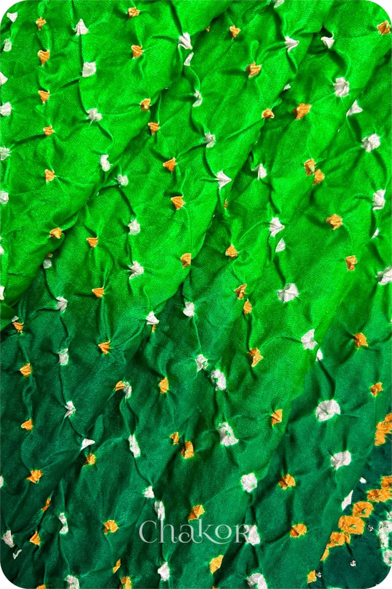 Parrot Green Ombre Bandhani Gaji Silk Saree