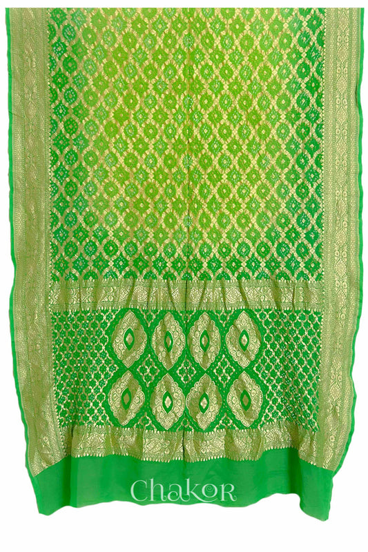 Chakor's Traditional Parrot & Green shaded Bandhani Banarasi Georgette Silk Dupatta. 