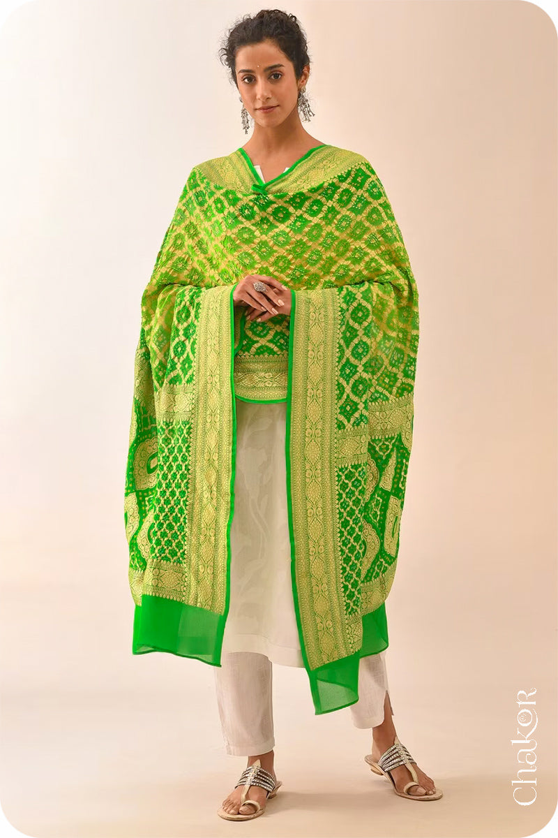 Chakor's Traditional Parrot & Green shaded Bandhani Banarasi Georgette Silk Dupatta. 