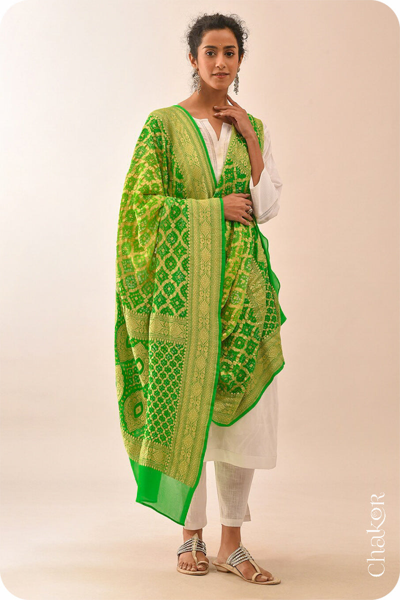 Chakor's Traditional Parrot & Green shaded Bandhani Banarasi Georgette Silk Dupatta. 