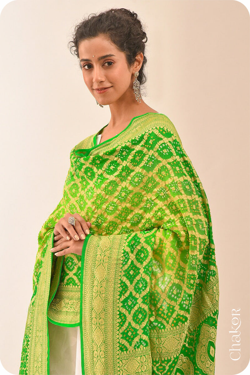 Chakor's Traditional Parrot & Green shaded Bandhani Banarasi Georgette Silk Dupatta. 