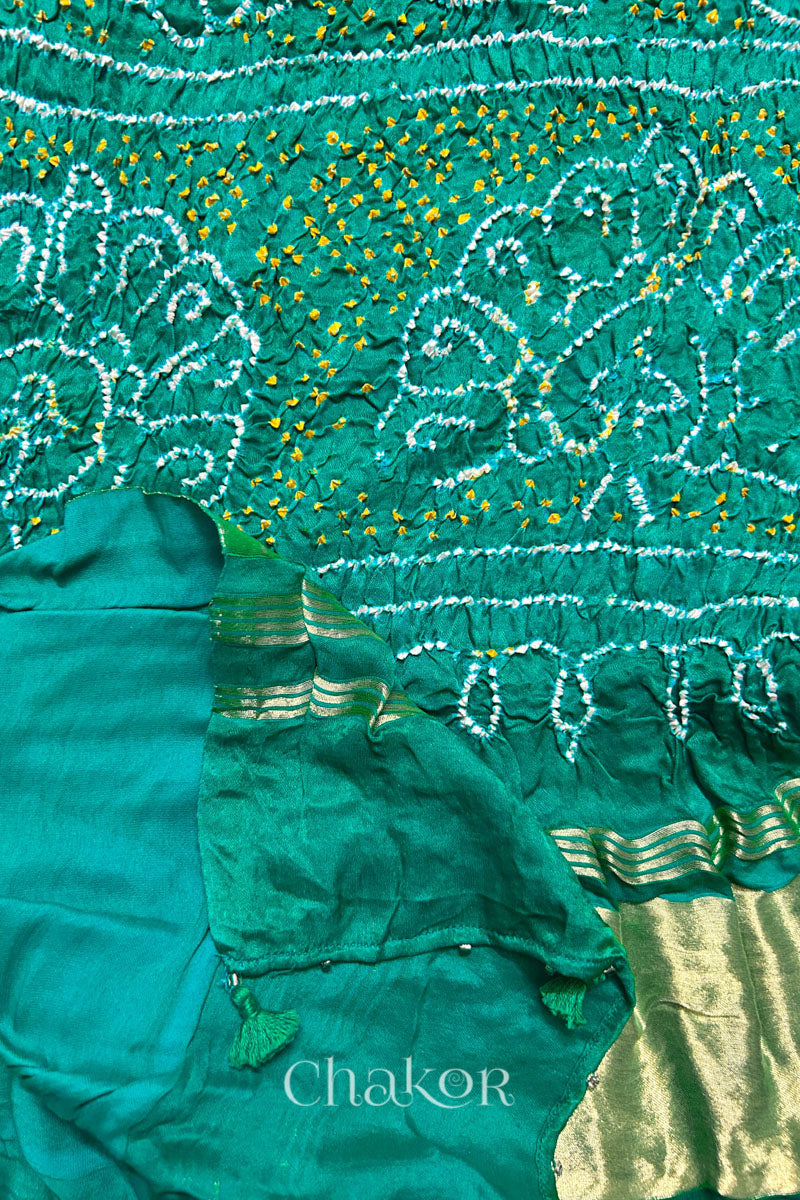 A colourful dupatta showcasing rai bandhej in Jade & parrot green  with tissue band folded on corner. Text reads Chakor brand watermark.
