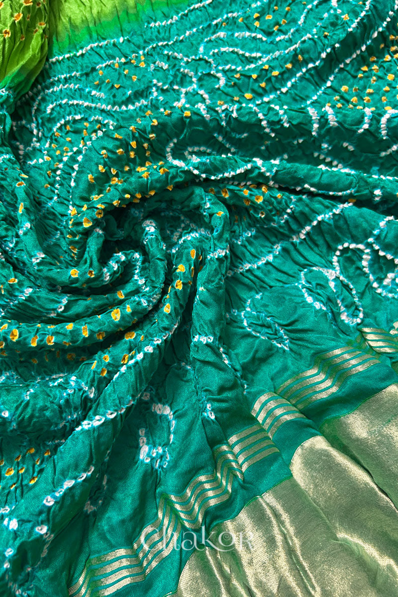 A colourful dupatta showcasing rai bandhej in Jade & parrot green dual colour with golden tissue band placed in swirling style. Text reads Chakor brand watermark.
