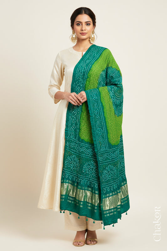 A woman in a beige ethnic outfit, wearing a colorful rai bandhej dupatta in Jade & parrot green dual colour with golden zari pallu, stands gracefully against a light background.Text reads Chakor brand watermark.
