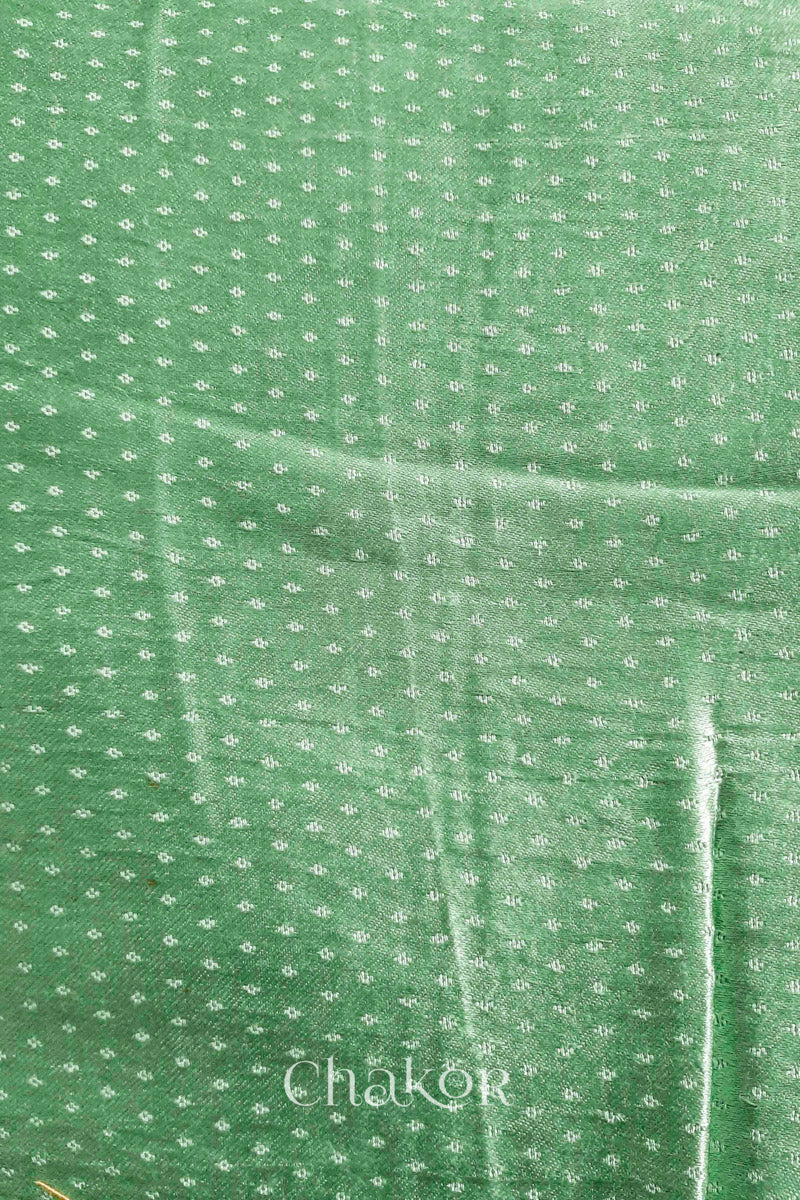 Pista green mashru self textured fabric with 'Chakor' logo visible.