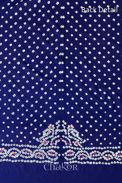 Popat Bandhani parrot motif and mirror work designed for the back of a Navy blue blouse.
