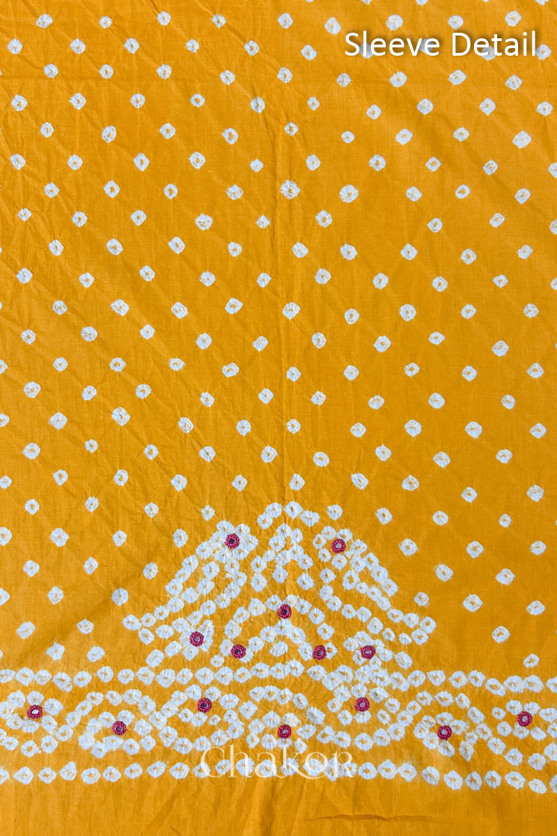 Popat Bandhani parrot motifs and mirror work designed for the sleeve of a Yellow blouse.
