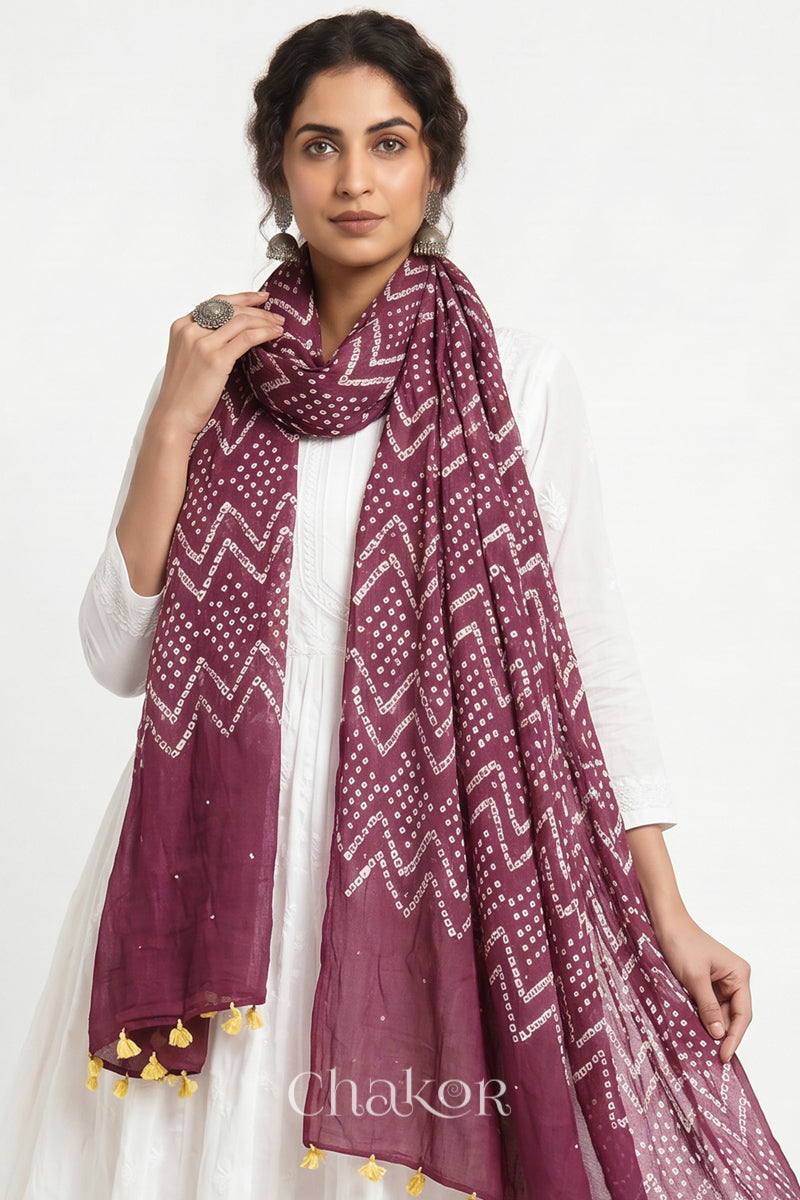 Hand tied Plum pink Kutch Bandhani dupatta with mukaish embroidery in pure mercerised mulmul cotton worn by model.
