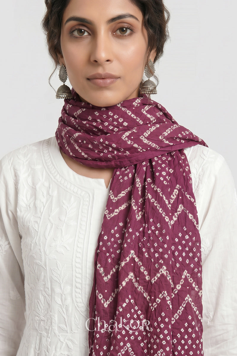 Hand tied Plum pink Kutch Bandhani dupatta with mukaish embroidery in pure mercerised mulmul cotton worn by model.
