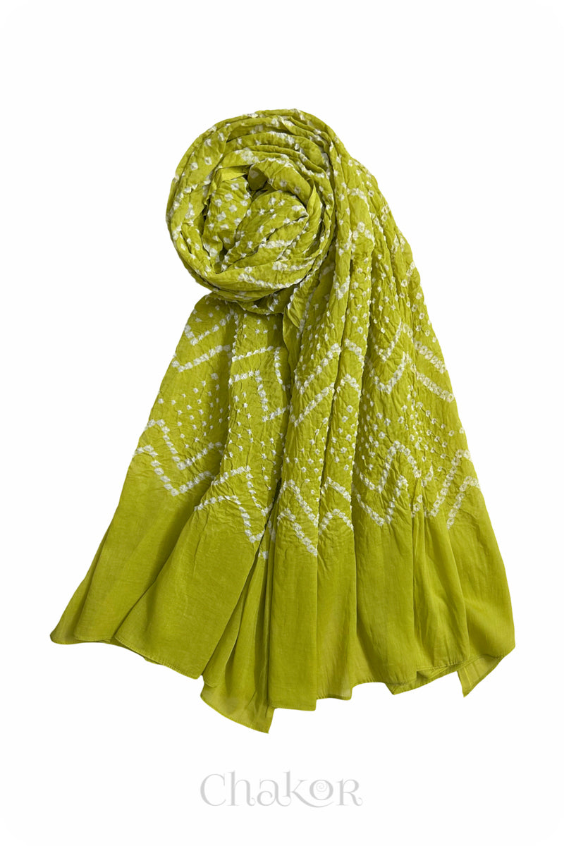 Lime Green Bandhani Mul Cotton Dupatta in Traditional  Design for Women's clothing online by Chakor.