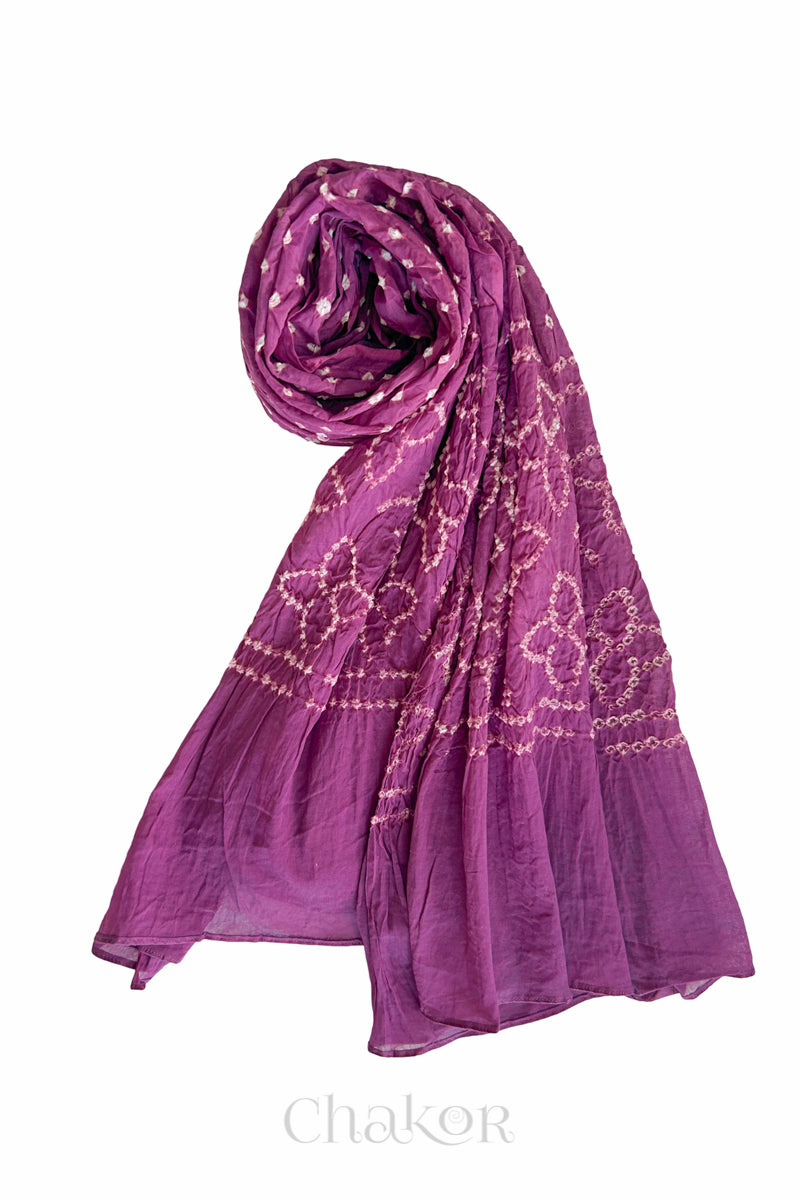 Violet Traditional Bandhani Mul Cotton Dupatta by Chakor.