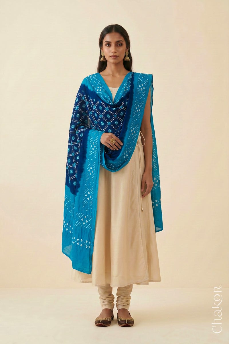 Navy Turquoise Bandhani Mul Cotton Dupatta | Kutch Tie-Dye