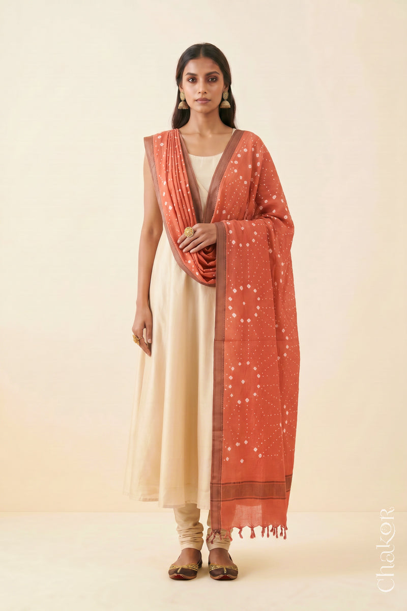 Peach Bandhani handloom Mangalgiri cotton dupatta showing its white dotted pattern and zari border.
