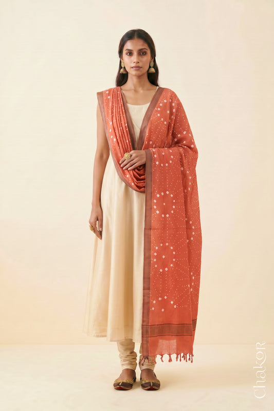 Peach Bandhani handloom Mangalgiri cotton dupatta showing its white dotted pattern and zari border.
