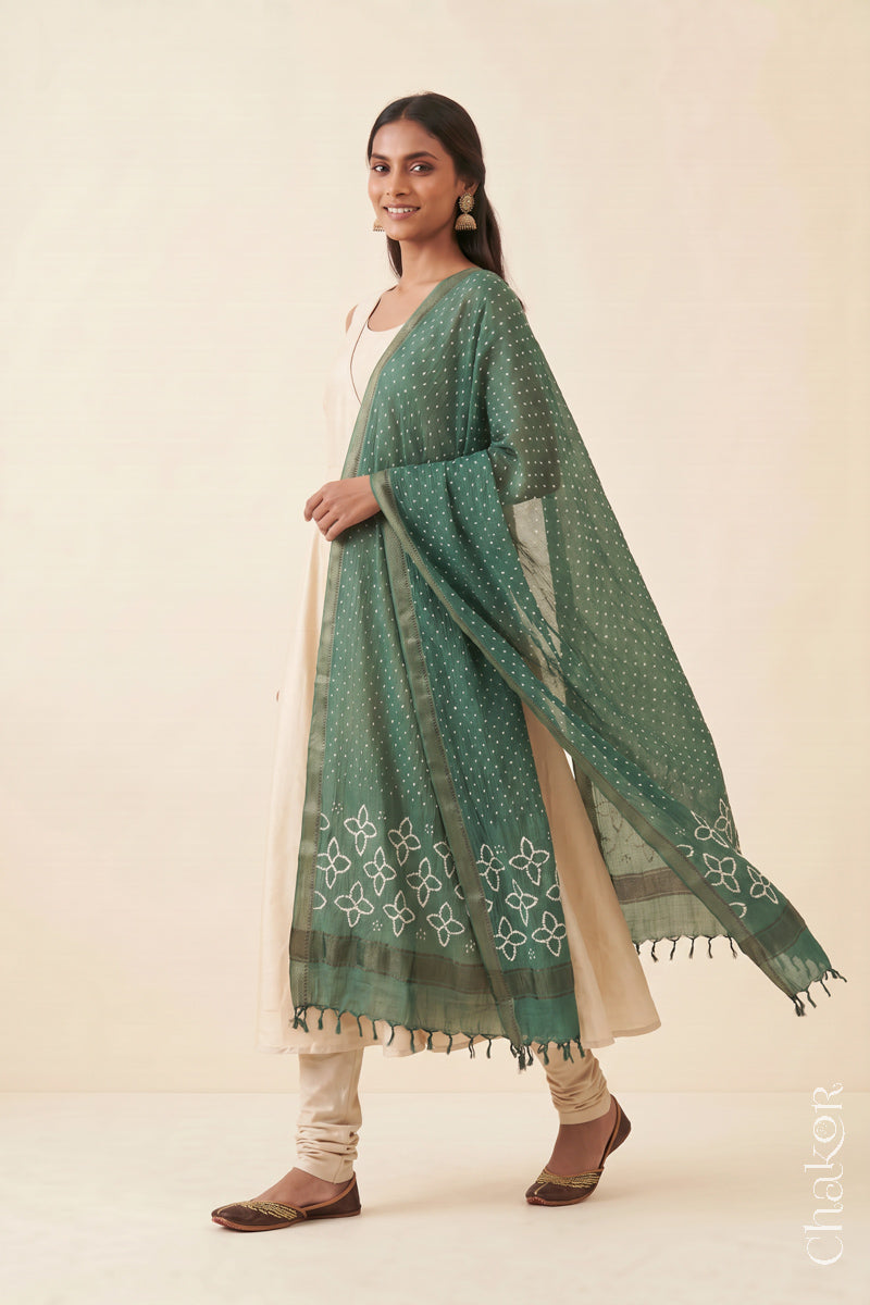 Moss Green Bandhani handloom Mangalgiri cotton dupatta showing its white dotted pattern and zari border.
