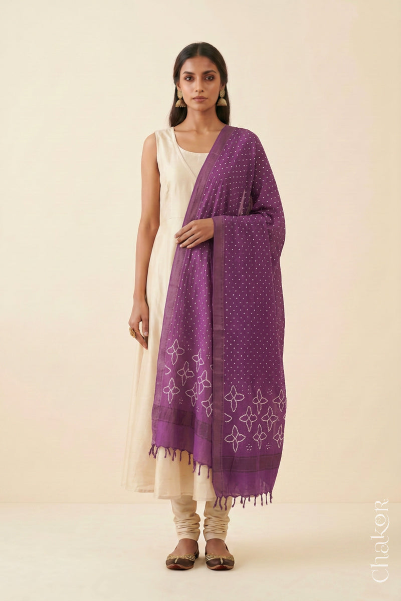 Mauve Bandhani handloom Mangalgiri cotton dupatta showing its white dotted pattern and zari border.
