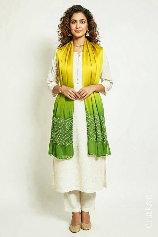 Yellow Green Ombre Bandhani Modal Stole