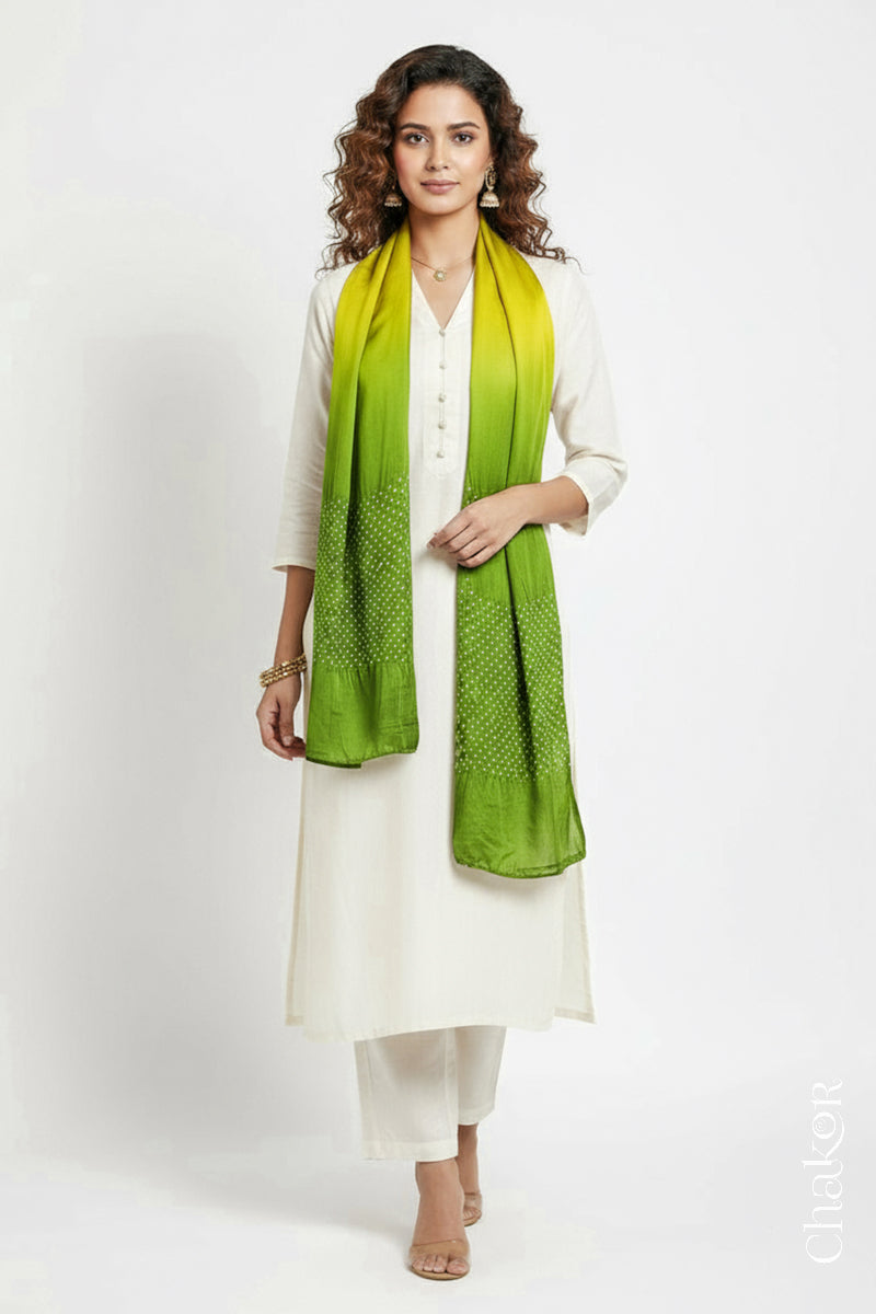 Woman wearing a Yellow & green shaded bandhani stole on white kurta set.
