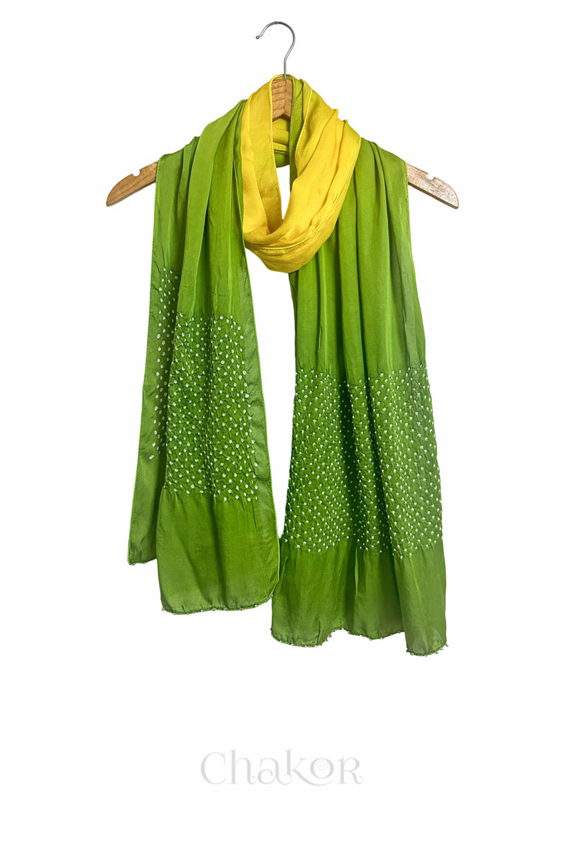 Yellow & green ombre bandhani  scarf with beads detailing on a hanger, brand 'Chakor' visible.
