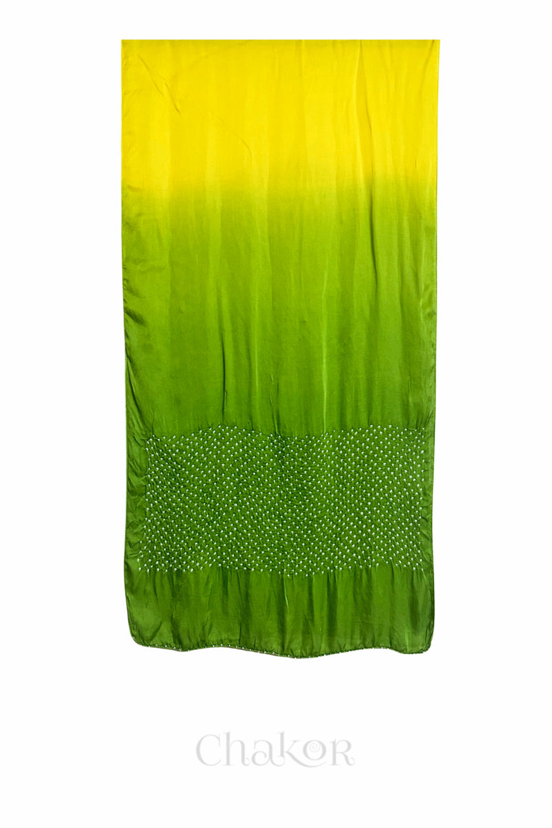 Full view of bandhani stole featuring ombre dyeing in Yellow & green and lustrous texture of modal fabric with 'Chakor' branding.
